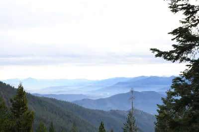 DSC_0068 (Large).JPG